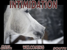 Load image into Gallery viewer, UNTAMED UNBROKEN UNMASTERED Card Deck Canvas Prints MORE