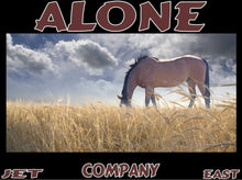 Load image into Gallery viewer, UNTAMED UNBROKEN UNMASTERED Card Deck Canvas Prints