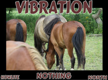 Load image into Gallery viewer, UNTAMED UNBROKEN UNMASTERED Card Deck Canvas Prints MORE