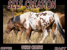 Load image into Gallery viewer, UNTAMED UNBROKEN UNMASTERED Card Deck Canvas Prints MORE