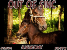 Load image into Gallery viewer, UNTAMED UNBROKEN UNMASTERED Card Deck Canvas Prints