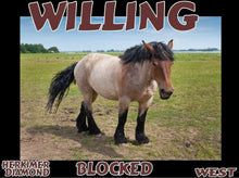 Load image into Gallery viewer, UNTAMED UNBROKEN UNMASTERED Card Deck Canvas Prints MORE