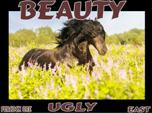 Load image into Gallery viewer, UNTAMED UNBROKEN UNMASTERED Card Deck Canvas Prints