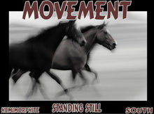 Load image into Gallery viewer, UNTAMED UNBROKEN UNMASTERED Card Deck Canvas Prints