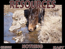 Load image into Gallery viewer, UNTAMED UNBROKEN UNMASTERED Card Deck Canvas Prints