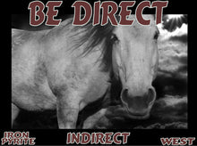 Load image into Gallery viewer, UNTAMED UNBROKEN UNMASTERED Card Deck Canvas Prints MORE