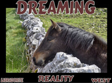 Load image into Gallery viewer, UNTAMED UNBROKEN UNMASTERED Card Deck Canvas Prints