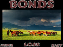 Load image into Gallery viewer, UNTAMED UNBROKEN UNMASTERED Card Deck Canvas Prints