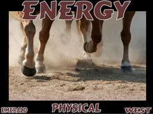 Load image into Gallery viewer, UNTAMED UNBROKEN UNMASTERED Card Deck Canvas Prints MORE