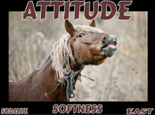 Load image into Gallery viewer, UNTAMED UNBROKEN UNMASTERED Card Deck Canvas Prints MORE