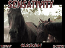 Load image into Gallery viewer, UNTAMED UNBROKEN UNMASTERED Card Deck Canvas Prints MORE