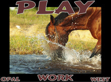 Load image into Gallery viewer, UNTAMED UNBROKEN UNMASTERED Card Deck Canvas Prints MORE