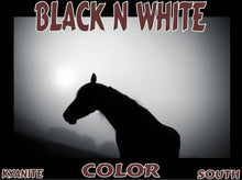 Load image into Gallery viewer, UNTAMED UNBROKEN UNMASTERED Card Deck Canvas Prints MORE