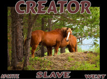 Load image into Gallery viewer, UNTAMED UNBROKEN UNMASTERED Card Deck Canvas Prints MORE