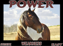 Load image into Gallery viewer, UNTAMED UNBROKEN UNMASTERED Card Deck Canvas Prints