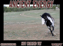 Load image into Gallery viewer, UNTAMED UNBROKEN UNMASTERED Card Deck Canvas Prints MORE