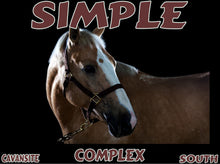 Load image into Gallery viewer, UNTAMED UNBROKEN UNMASTERED Card Deck Canvas Prints