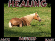 Load image into Gallery viewer, UNTAMED UNBROKEN UNMASTERED Card Deck Canvas Prints