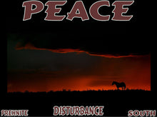 Load image into Gallery viewer, UNTAMED UNBROKEN UNMASTERED Card Deck Canvas Prints MORE