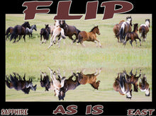 Load image into Gallery viewer, UNTAMED UNBROKEN UNMASTERED Card Deck Canvas Prints