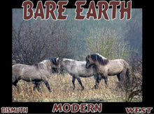 Load image into Gallery viewer, UNTAMED UNBROKEN UNMASTERED Card Deck Canvas Prints MORE