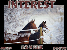 Load image into Gallery viewer, UNTAMED UNBROKEN UNMASTERED Card Deck Canvas Prints MORE