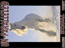 Load image into Gallery viewer, UNTAMED UNBROKEN UNMASTERED Card Deck Canvas Prints MORE