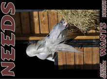 Load image into Gallery viewer, UNTAMED UNBROKEN UNMASTERED Card Deck Canvas Prints MORE