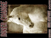 Load image into Gallery viewer, UNTAMED UNBROKEN UNMASTERED Card Deck Canvas Prints