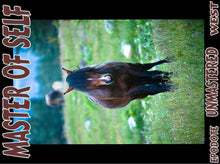 Load image into Gallery viewer, UNTAMED UNBROKEN UNMASTERED Card Deck Canvas Prints