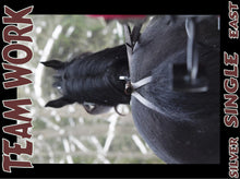 Load image into Gallery viewer, UNTAMED UNBROKEN UNMASTERED Card Deck Canvas Prints