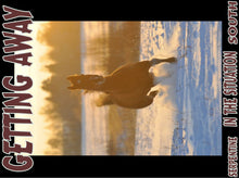 Load image into Gallery viewer, UNTAMED UNBROKEN UNMASTERED Card Deck Canvas Prints MORE