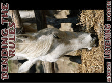 Load image into Gallery viewer, UNTAMED UNBROKEN UNMASTERED Card Deck Canvas Prints