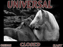 Load image into Gallery viewer, UNTAMED UNBROKEN UNMASTERED Card Deck Canvas Prints MORE