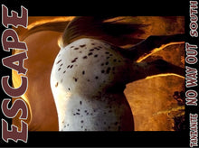 Load image into Gallery viewer, UNTAMED UNBROKEN UNMASTERED Card Deck Canvas Prints