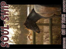 Load image into Gallery viewer, UNTAMED UNBROKEN UNMASTERED Card Deck Canvas Prints MORE