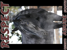 Load image into Gallery viewer, UNTAMED UNBROKEN UNMASTERED Card Deck Canvas Prints