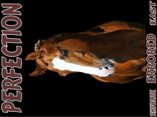 Load image into Gallery viewer, UNTAMED UNBROKEN UNMASTERED Card Deck Canvas Prints MORE