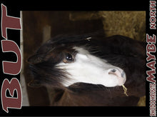 Load image into Gallery viewer, UNTAMED UNBROKEN UNMASTERED Card Deck Canvas Prints