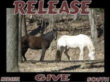 Load image into Gallery viewer, UNTAMED UNBROKEN UNMASTERED Card Deck Canvas Prints MORE