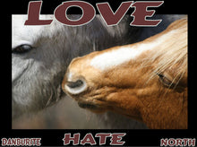 Load image into Gallery viewer, UNTAMED UNBROKEN UNMASTERED Card Deck Canvas Prints