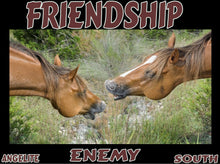 Load image into Gallery viewer, UNTAMED UNBROKEN UNMASTERED Card Deck Canvas Prints