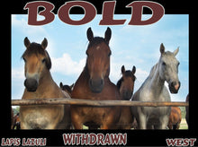 Load image into Gallery viewer, UNTAMED UNBROKEN UNMASTERED Card Deck Canvas Prints