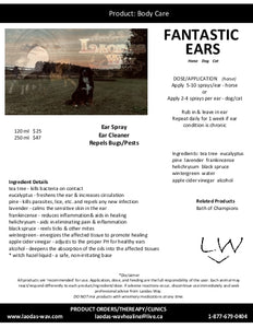 FANTASTIC EARS