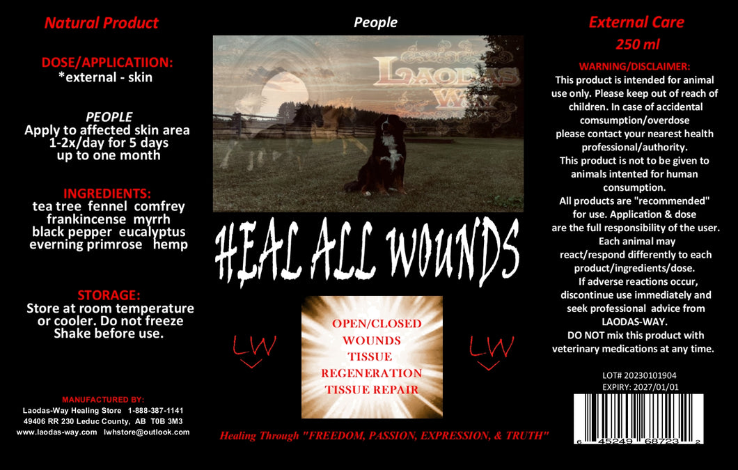 HEAL ALL WOUNDS - People