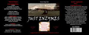 JUST ENZYMES