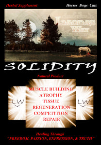 SOLIDITY