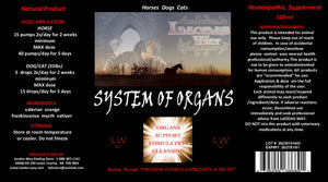 SYSTEM OF ORGANS