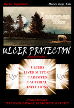Load image into Gallery viewer, ULCER PROTECTION
