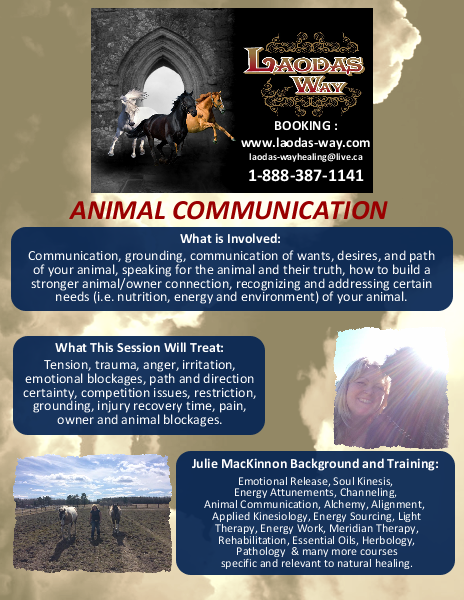 ANIMAL Communication